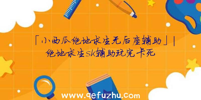 「小西瓜绝地求生无后座辅助」|绝地求生sk辅助玩完卡死